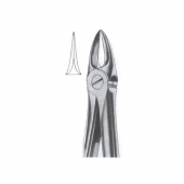Extarcting Forceps